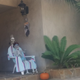 Illustration for article titled Halloween Decorations From a Few Neighborhoods